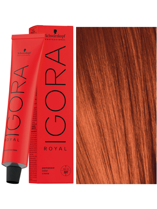 Tinte Igora Royal 8-77 Rubio Claro Cobrizo Intenso Schwarzkopf Professional