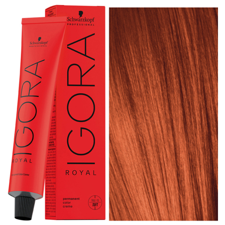 Tinte Igora Royal 8-77 Rubio Claro Cobrizo Intenso Schwarzkopf Professional